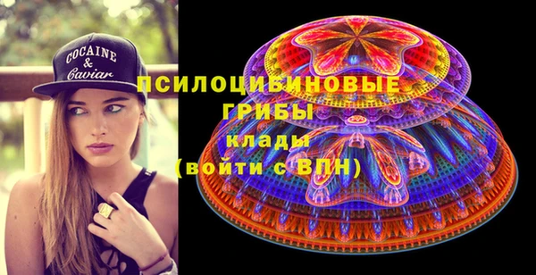 герыч Алексин