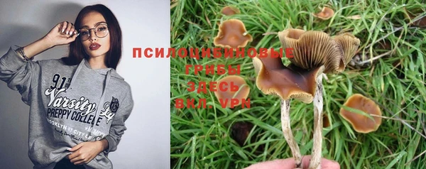 молекула духа Алексеевка