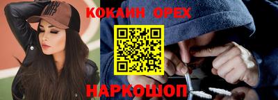 гашик Боровичи