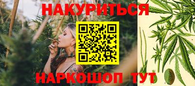 гашик Боровичи