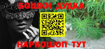 гашик Боровичи