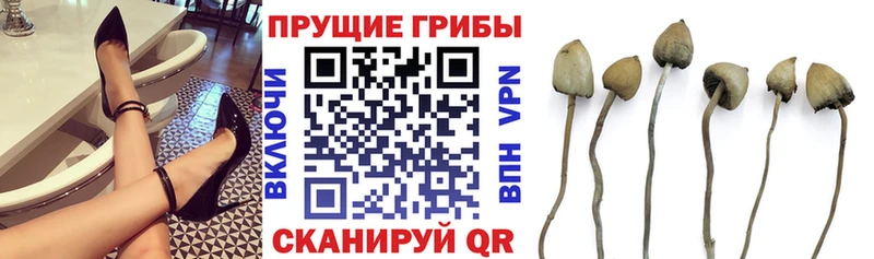 darknet состав  цена наркотик  Краснотурьинск  Галлюциногенные грибы Magic Shrooms 