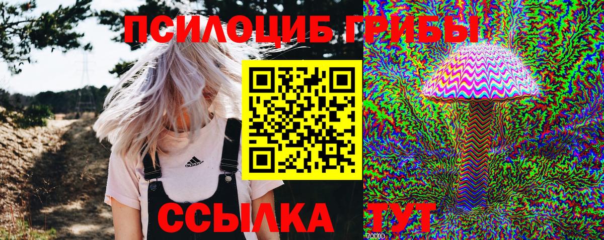 Краснотурьинск  Псилоцибиновые грибы прущие грибы  Вход с VPN 