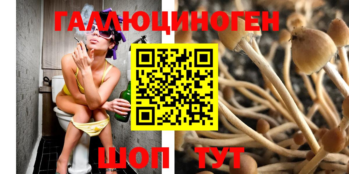 Псилоцибиновые грибы прущие грибы Краснотурьинск